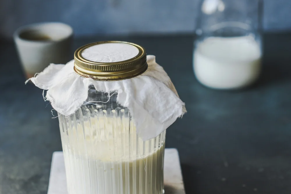Joghurt für Hunde: Gesund oder schädlich?