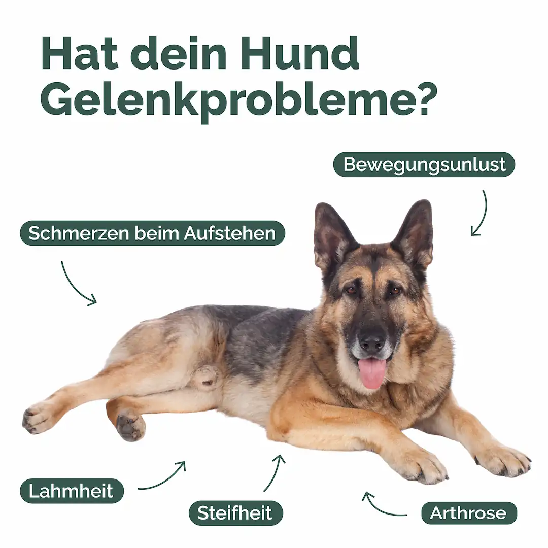 Gelenk-Formel – Bild 3