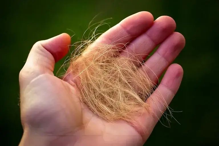 Haarausfall bei Hunden: 5 Hausmittel & Tipps vom Tierarzt