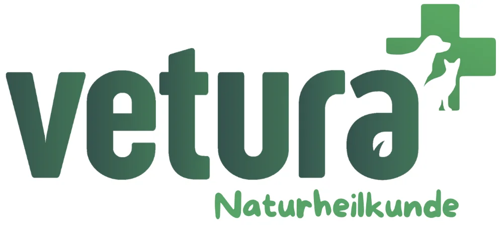 Vetura Staging